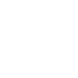 star icon white
