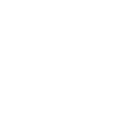 trophy icon white